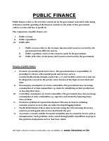 public finance.docx